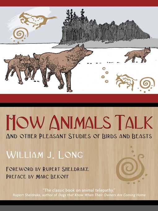 Title details for How Animals Talk by William J. Long - Available